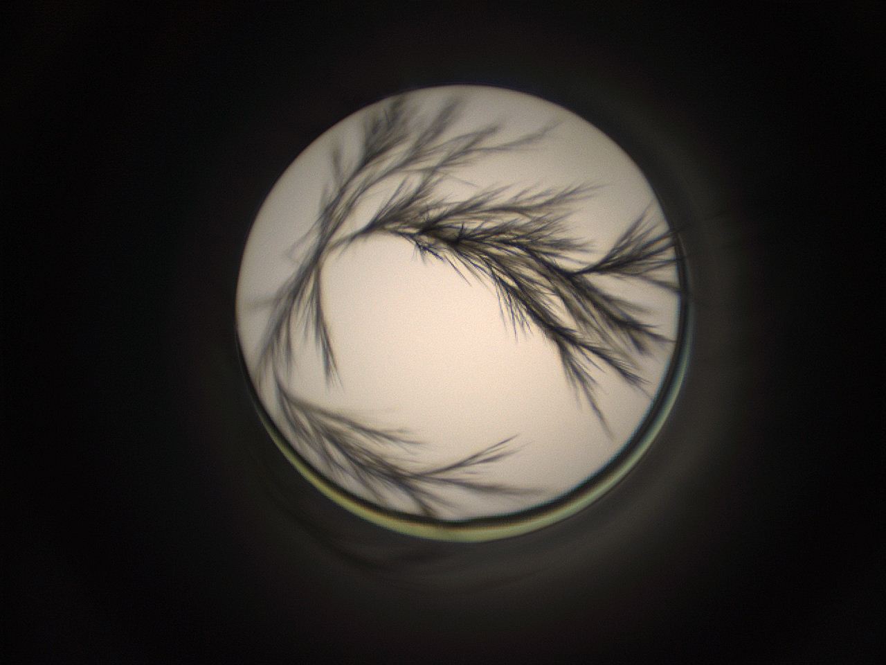 059h_F2_ImagerDefaults_9.jpg