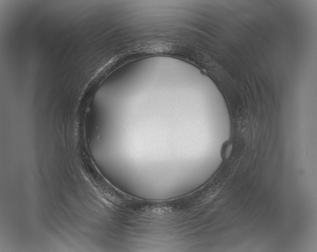 X0000055210304200508301329.png