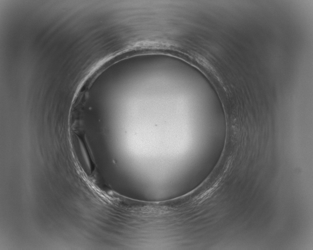 X0000055210981200508301317.png