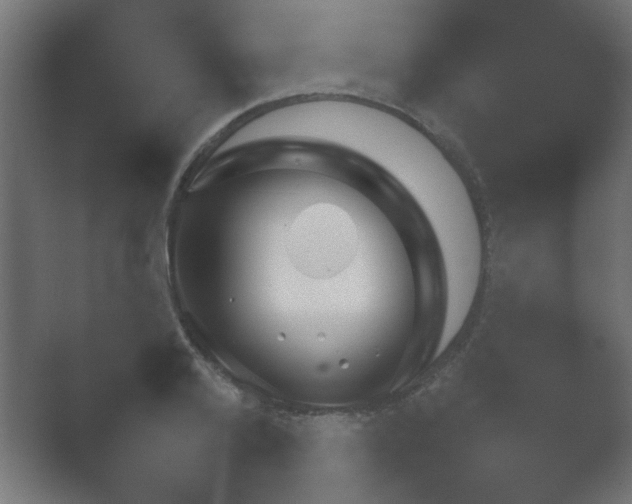 X0000054930792200508291630.png