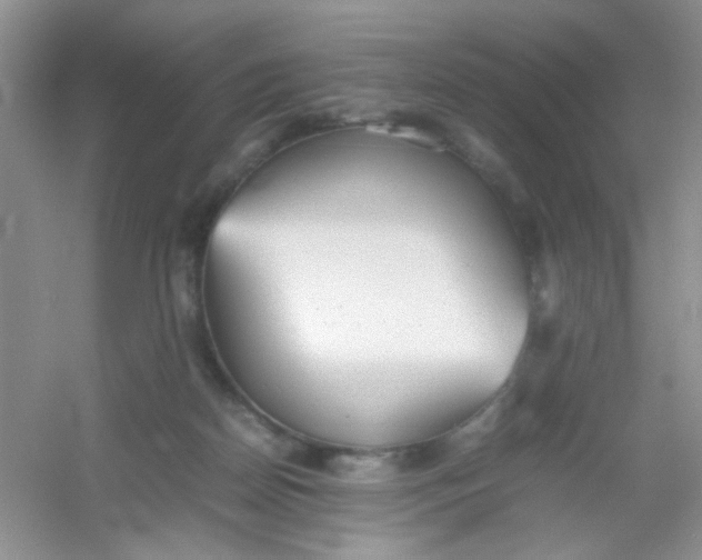 X0000054330170200508111928.png