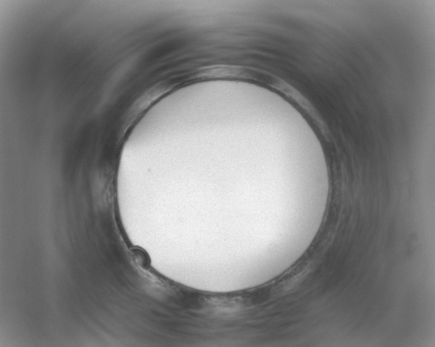 X0000054331049200508111914.png