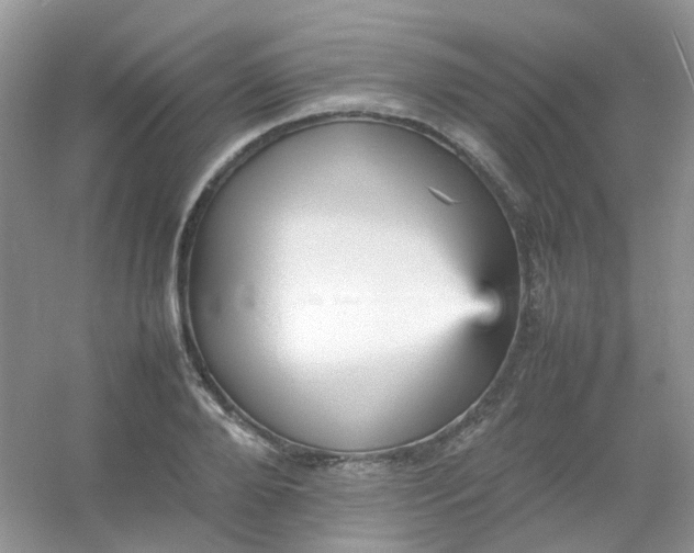 X0000054330888200508111916.png