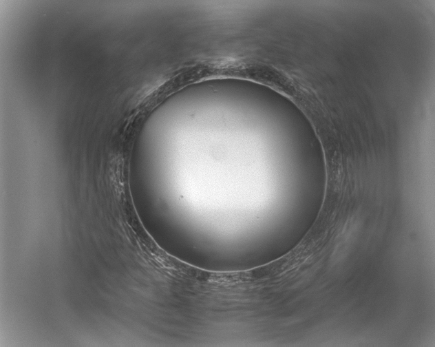 X0000055061301200508161635.png