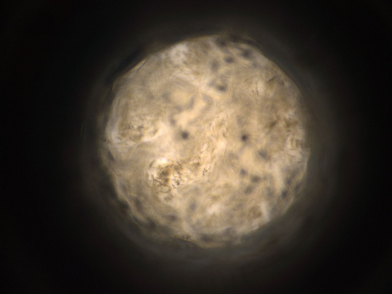 059h_F13_ImagerDefaults_9.jpg