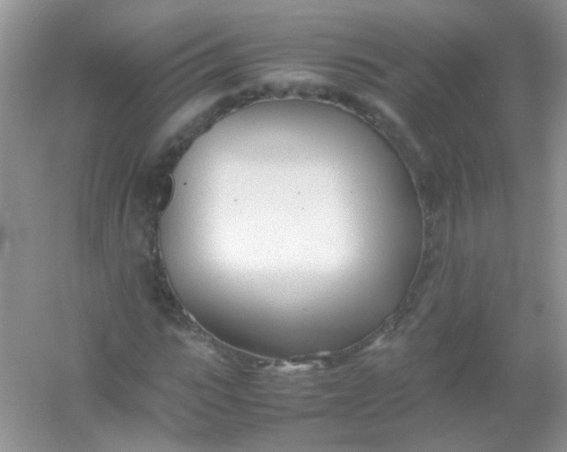 X0000054330919200508111915.png