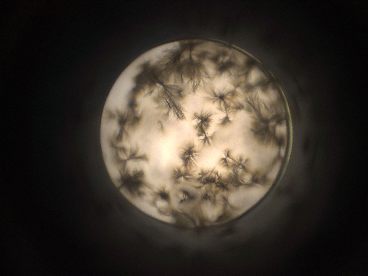 059h_F14_ImagerDefaults_9.jpg
