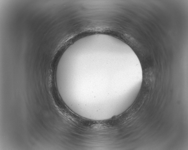 X0000054270544200508261918.png