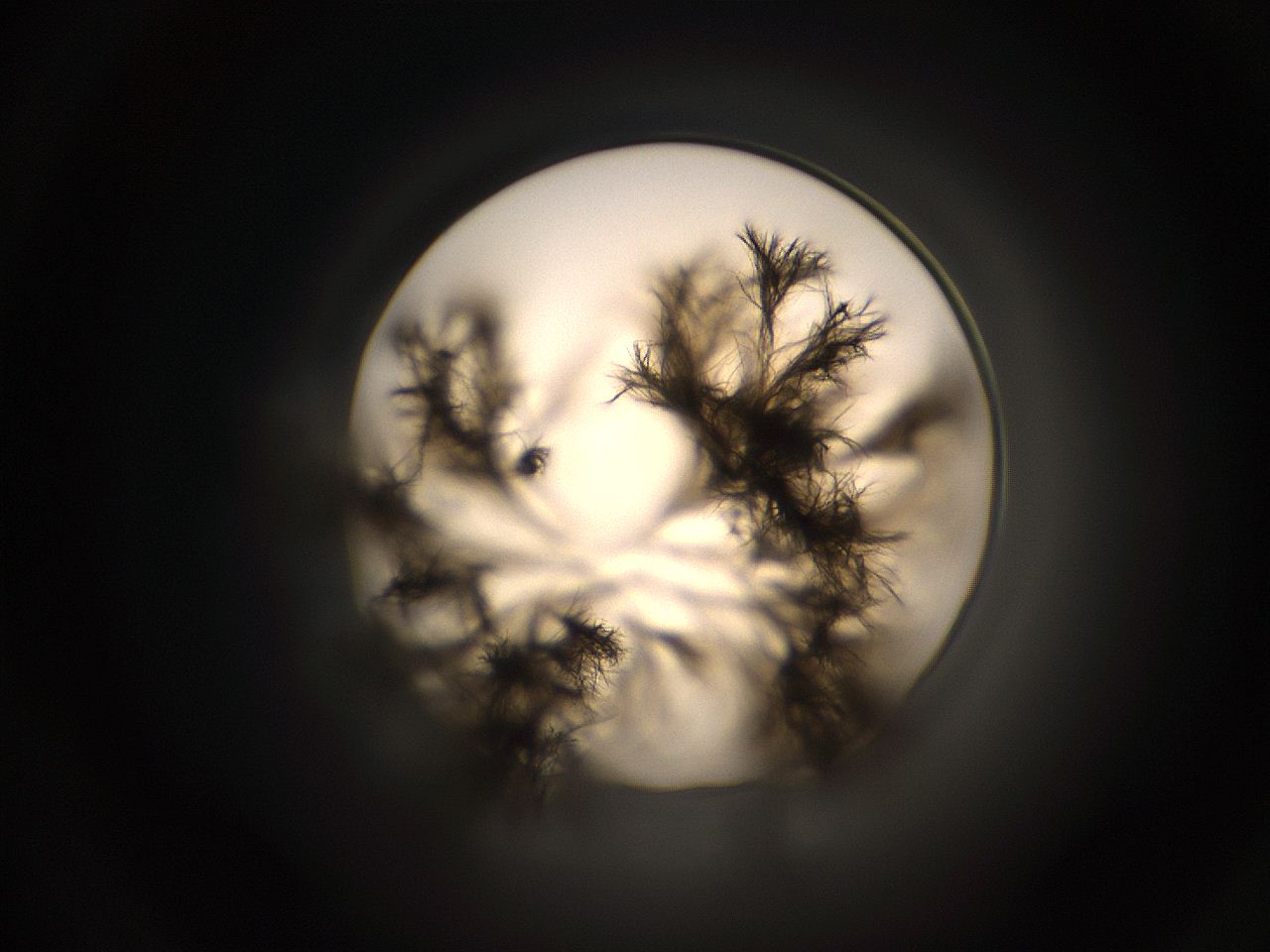 059h_F15_ImagerDefaults_9.jpg