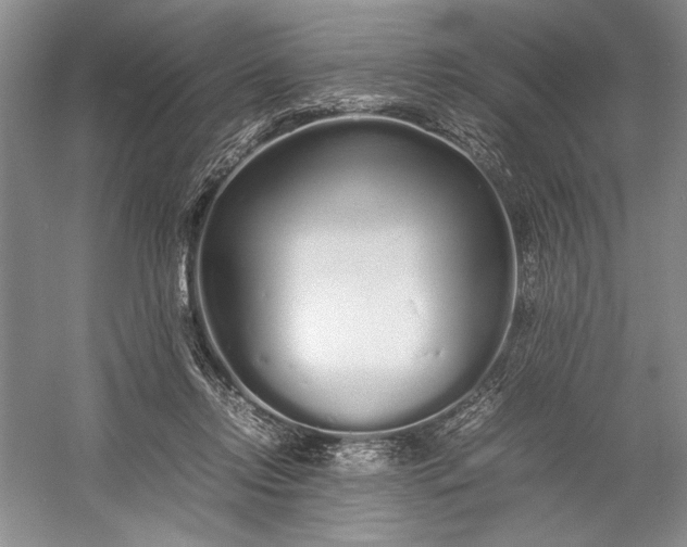 X0000055060358200508161652.png