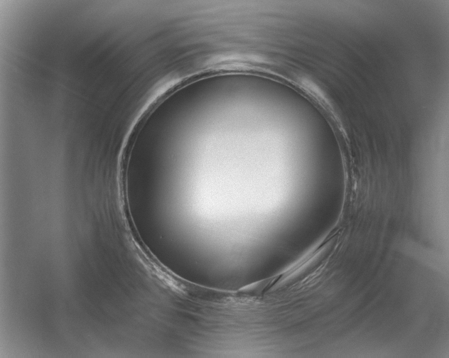 X0000055061384200508161634.png