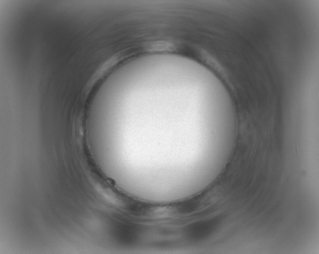 X0000054330059200508111930.png