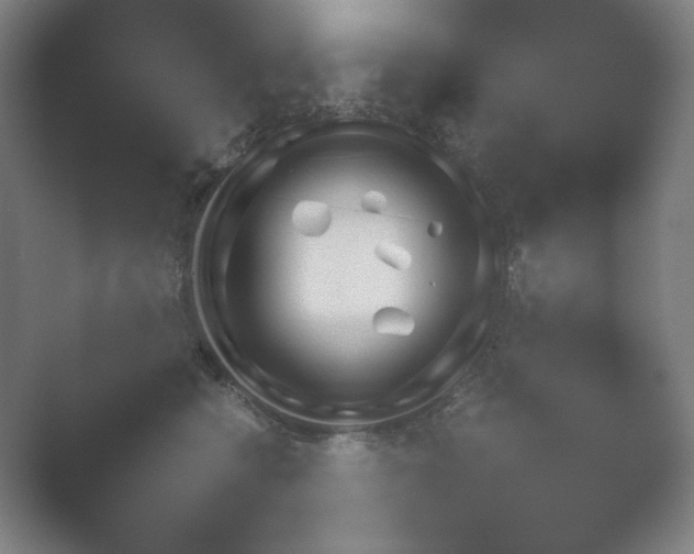 X0000054970566200509051507.png