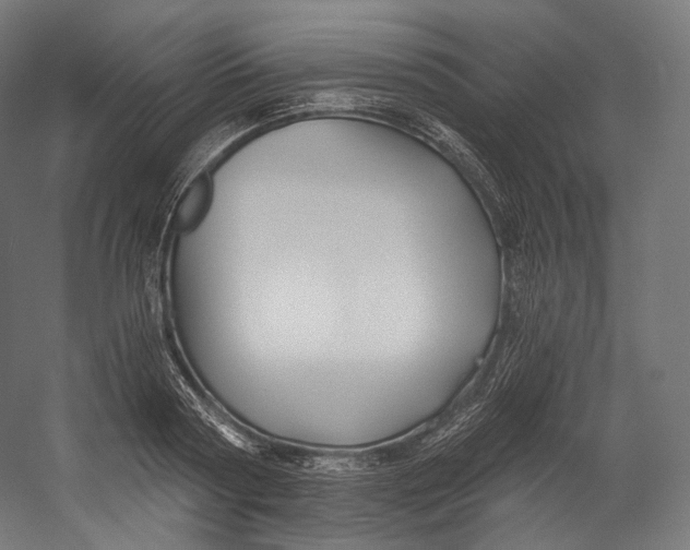 X0000055210794200508301320.png