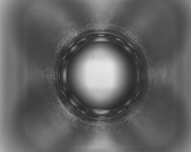 X0000040730633200410201652.png