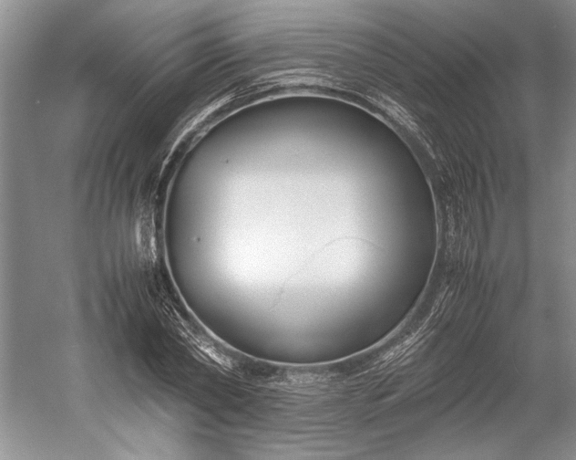 X0000055060782200508161644.png