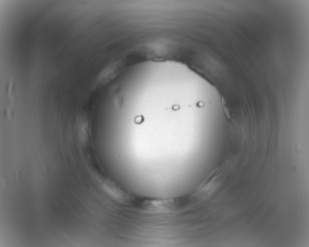 X0000054330188200508111929.png