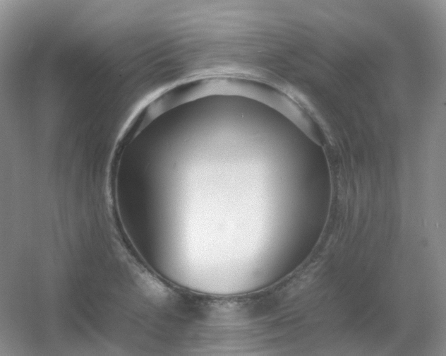 X0000054331230200508111910.png