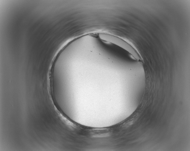 X0000054271151200508261909.png