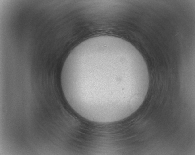 X0000053460276200508112205.png