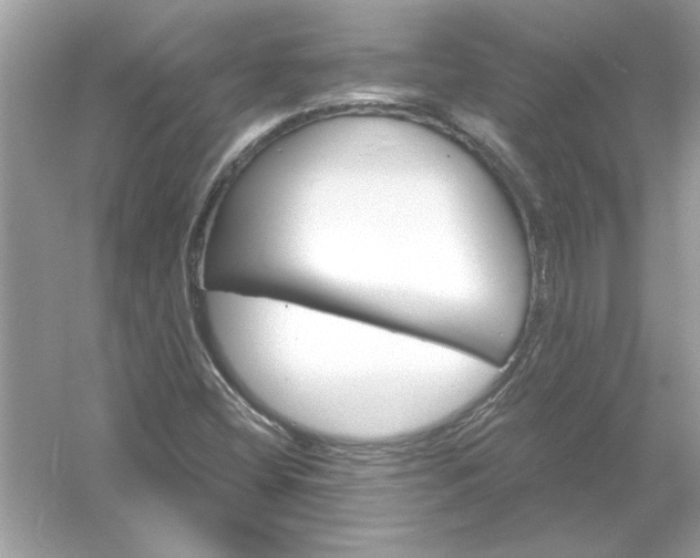 X0000054301404200508042258.png