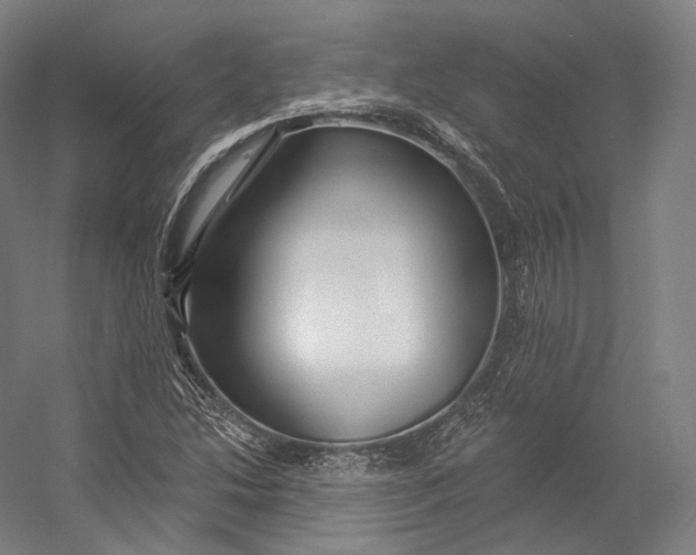 X0000055211214200508301313.png