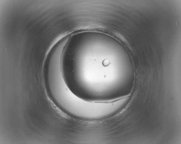 X0000054331122200508111912.png
