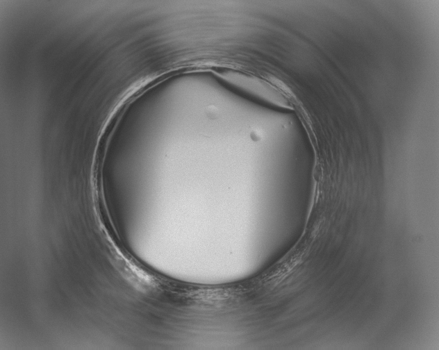 X0000055211141200508301315.png