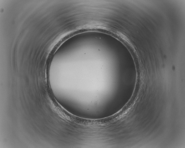 X0000054650934200508091638.png