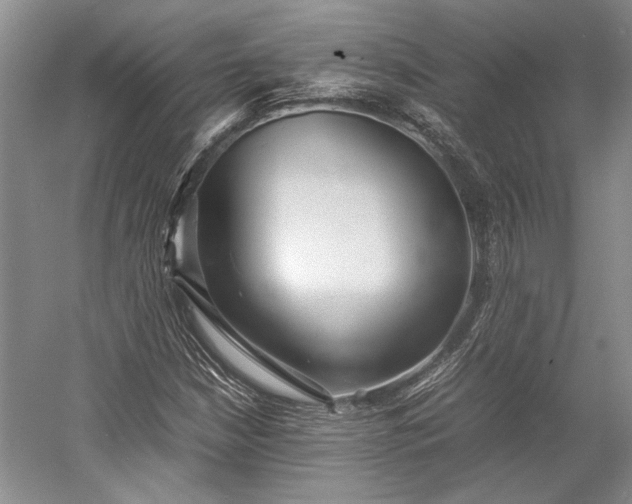 X0000055061210200508161637.png