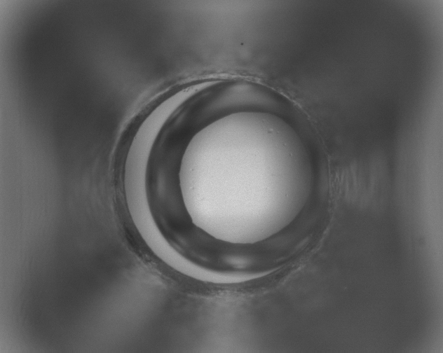 X0000054930198200508291640.png