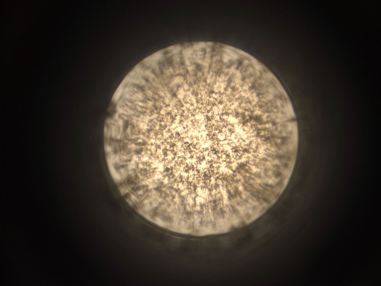 059h_G13_ImagerDefaults_9.jpg