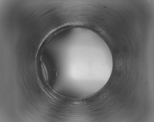 X0000055210584200508301324.png