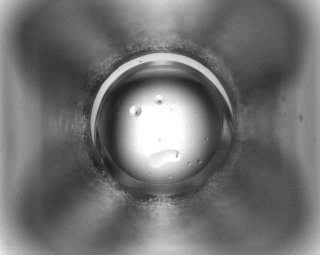 X0000046450113200502211636.png