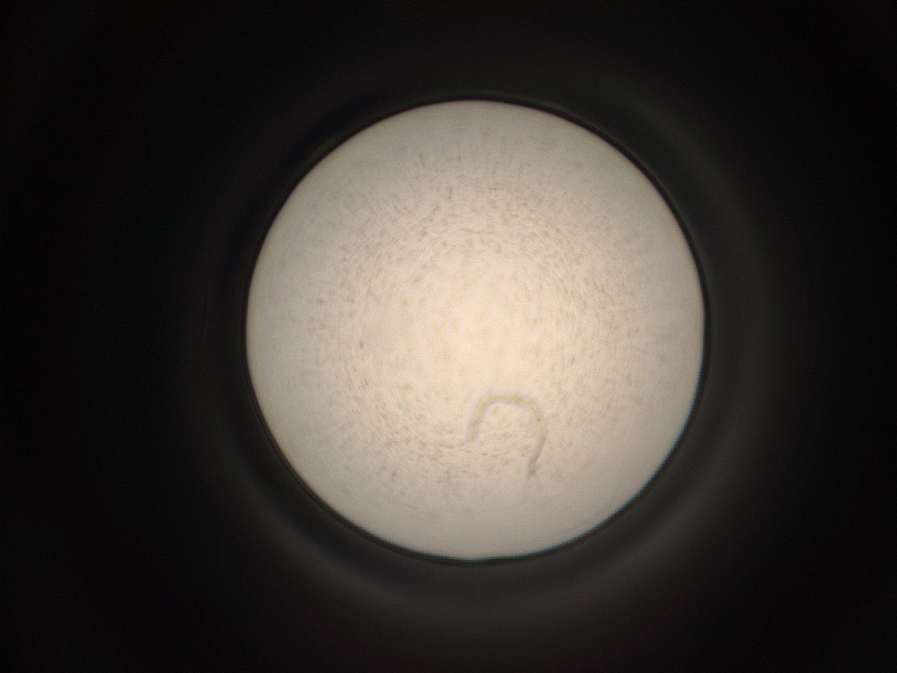059h_G16_ImagerDefaults_9.jpg