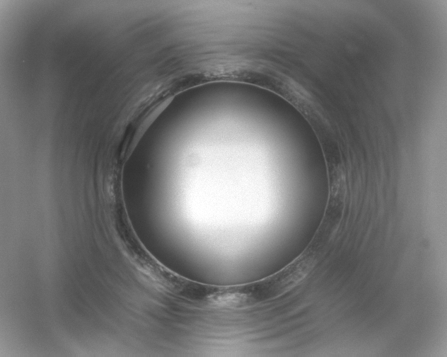 X0000054330452200508111923.png
