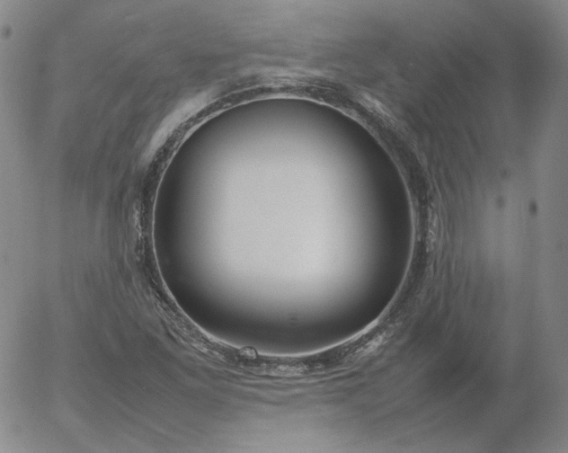 X0000054651261200508091632.png