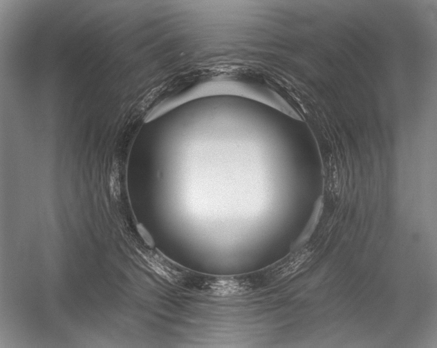 X0000055060562200508161648.png