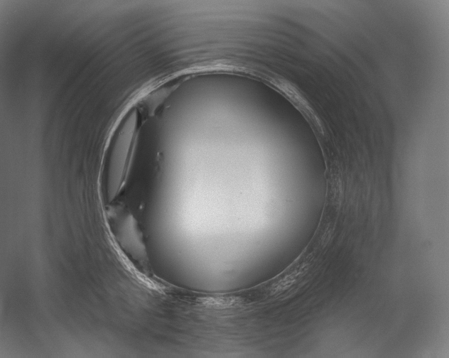 X0000055210805200508301320.png