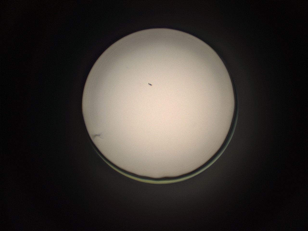 059h_H4_ImagerDefaults_1.jpg