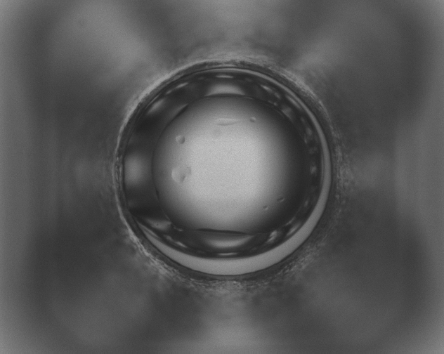 X0000040560943200411021425.png