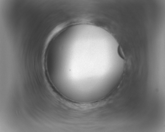 X0000054330006200508111931.png