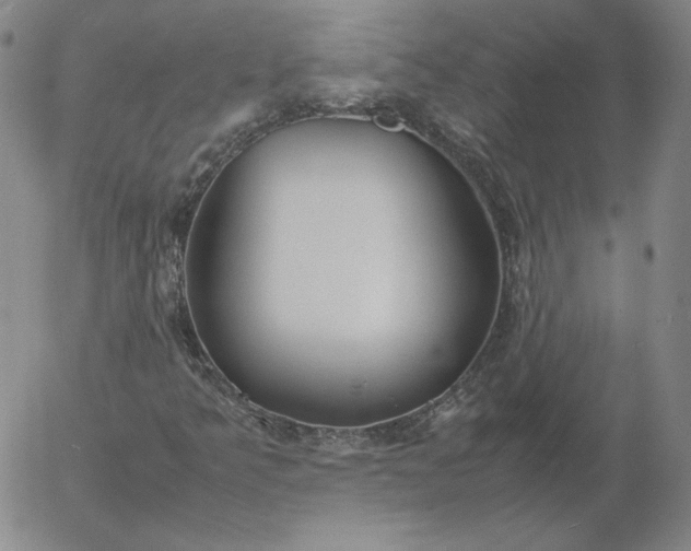 X0000054651349200508091631.png