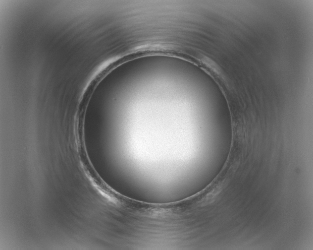 X0000054331030200508111913.png