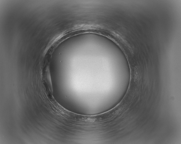 X0000055211261200508301312.png