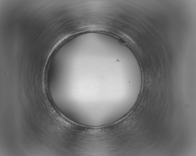 X0000055211182200508301314.png