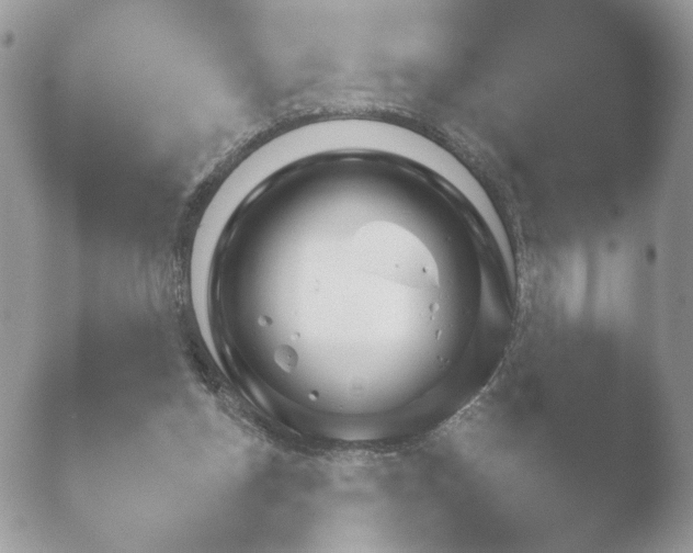 X0000052120158200507262100.png