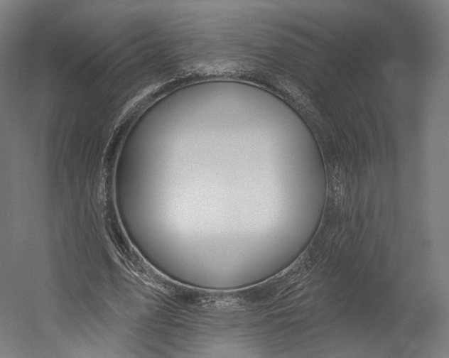 X0000055210583200508301324.png