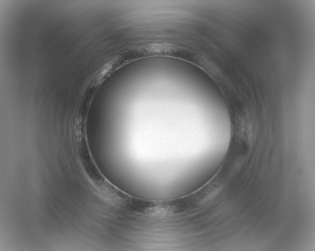 X0000054330356200508111925.png