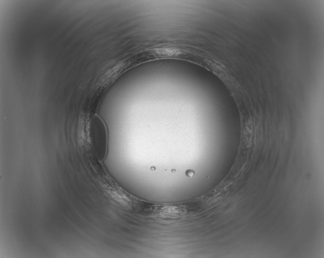 X0000055060330200508161652.png